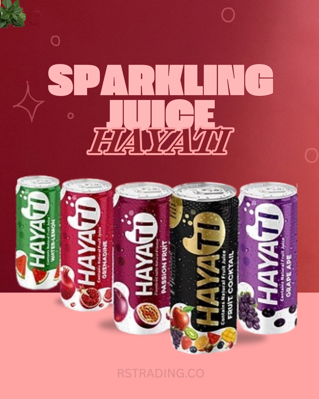 HAYATI SPARKLING JUICE AT BEST PRICE