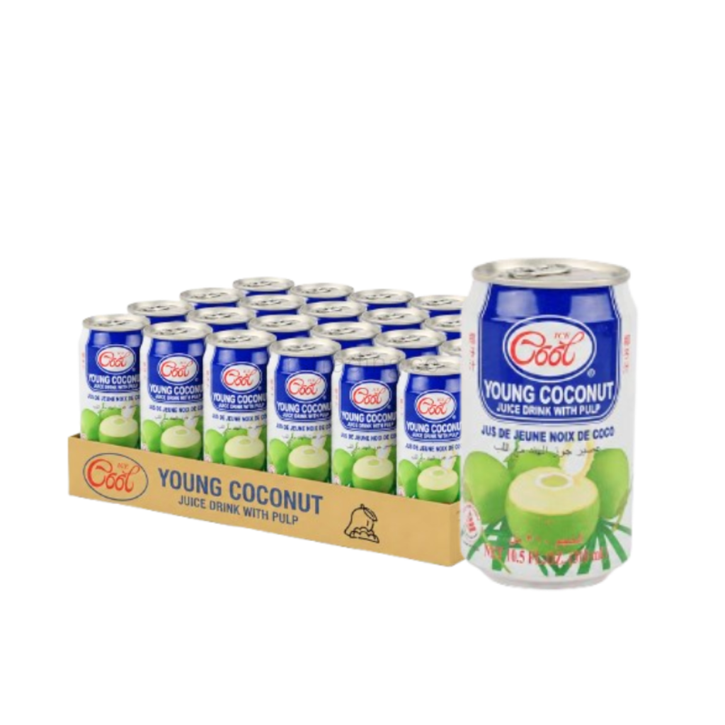 Ice Cool Coconut Water 24x310 ml