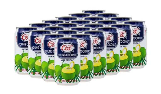 buy Ice Cool Coconut Water 24 x 310 ml from online store in dubai and delivery free