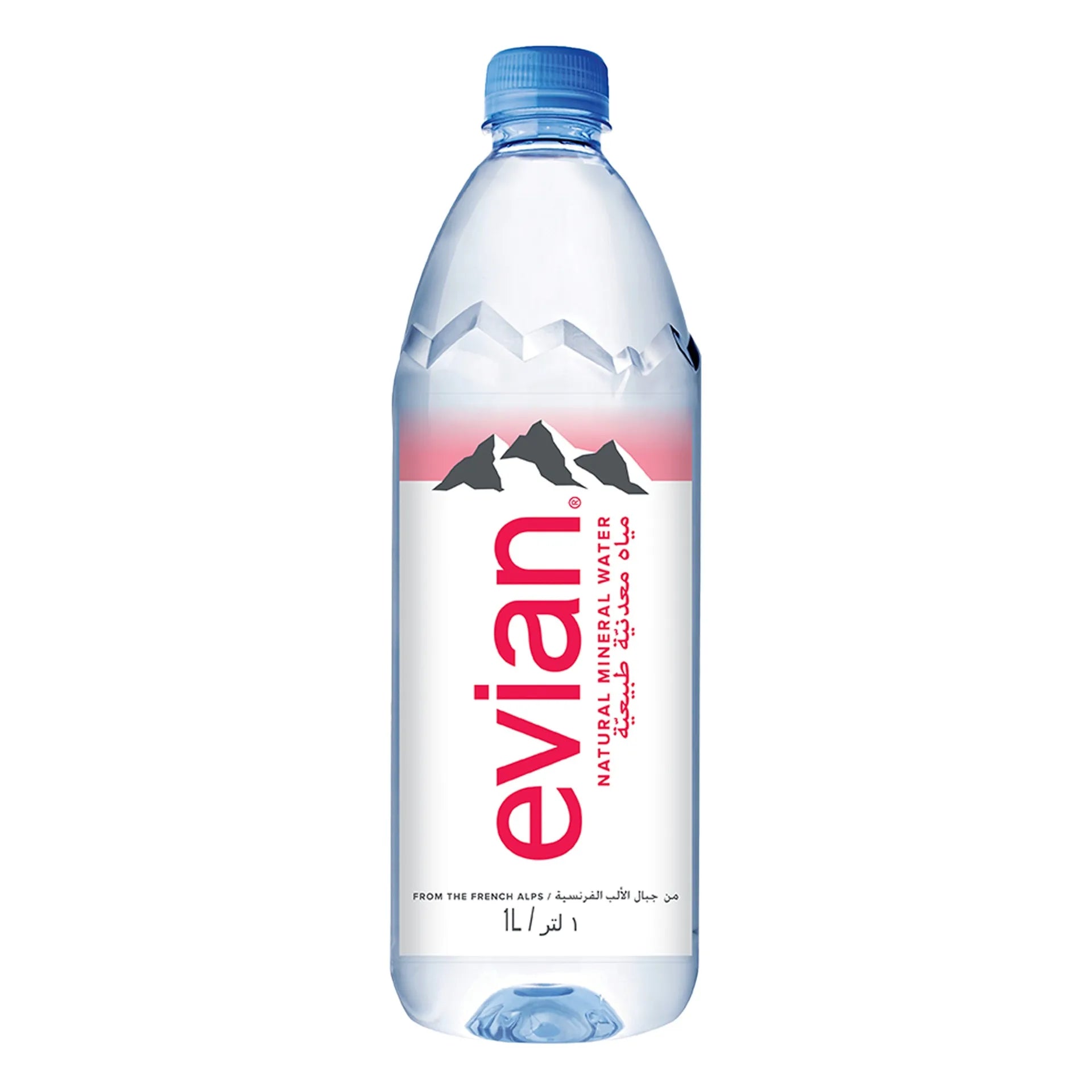 EVIAN WATER 1ltr x 12 PET